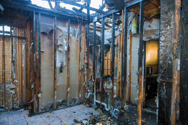Professional Fire Damage Removal technician working in Gaylord, MN